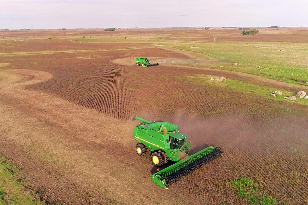 Tendencias actuales del sector rural en Uruguay